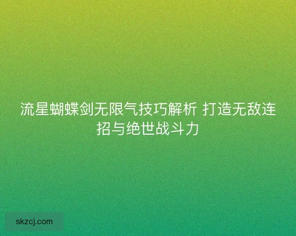流星蝴蝶剑无限气技巧解析 打造无敌连招与绝世战斗力