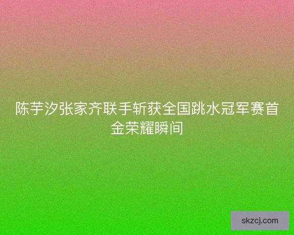 陈芋汐张家齐联手斩获全国跳水冠军赛首金荣耀瞬间