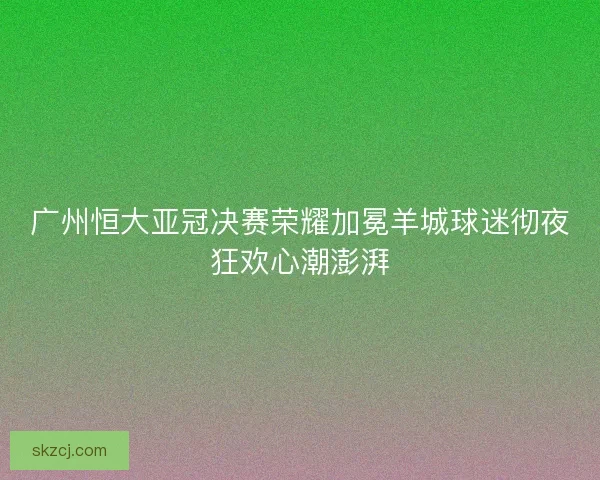 广州恒大亚冠决赛荣耀加冕羊城球迷彻夜狂欢心潮澎湃