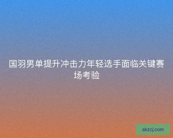 国羽男单提升冲击力年轻选手面临关键赛场考验